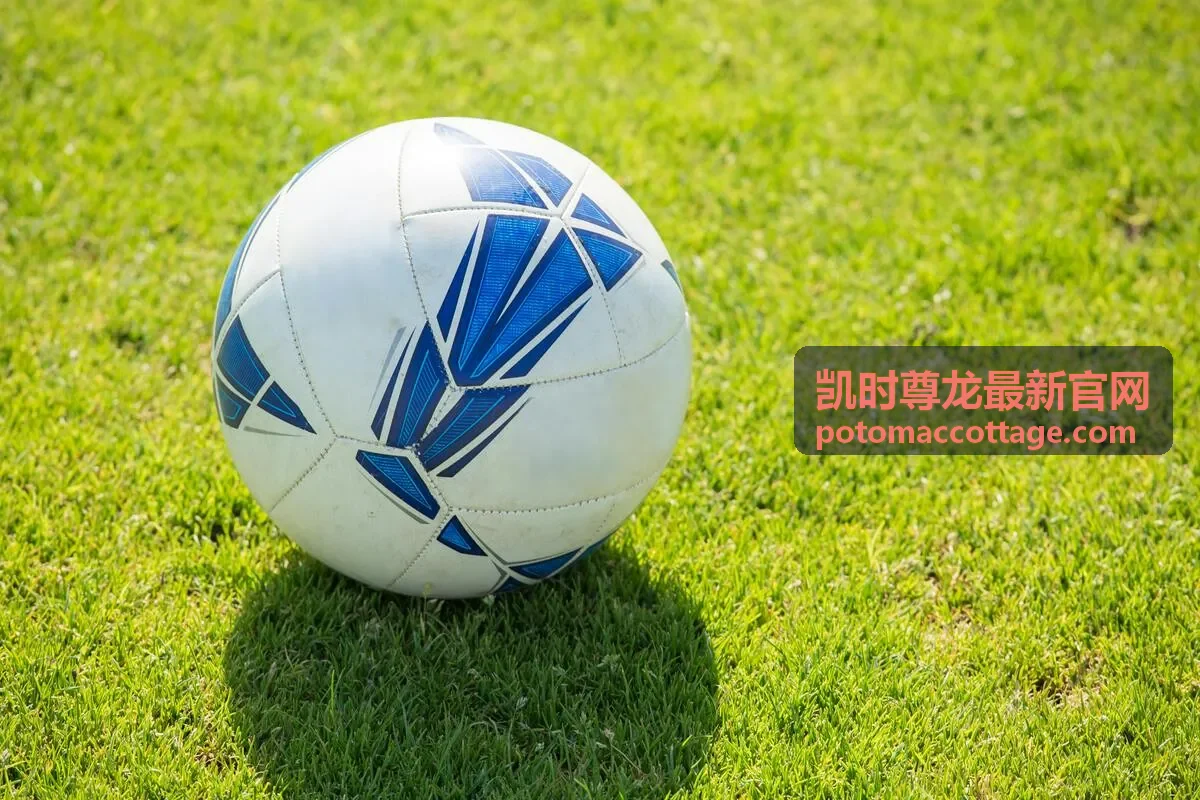 凯时尊龙最新官网移动端阅读说明配图